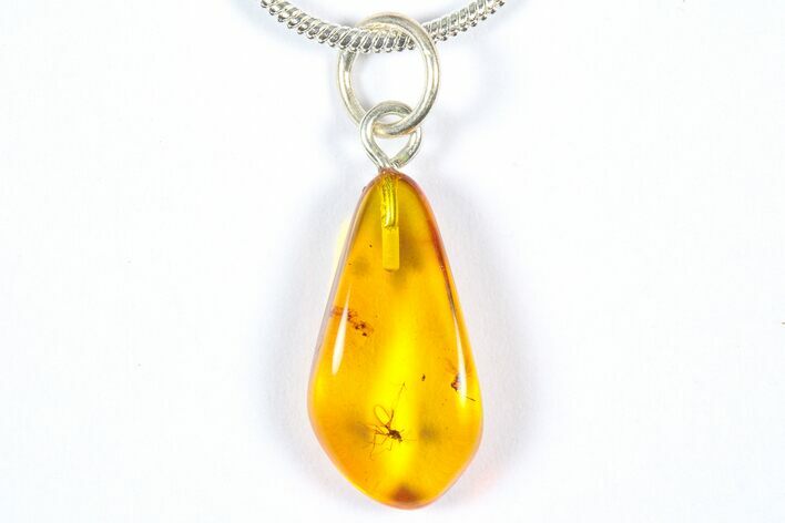 Polished Baltic Amber Pendant (Necklace) - Contains Fly! #369002
